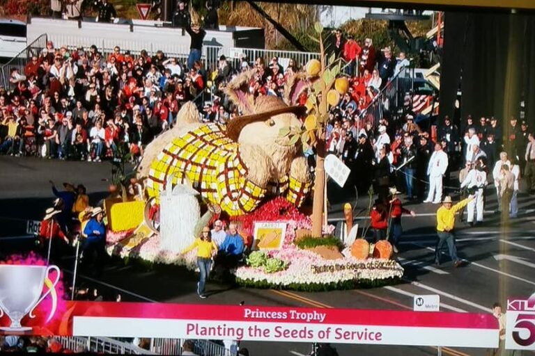 Rose Parade Float Decoration