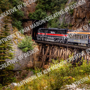 white pass railway photo by kim mabon