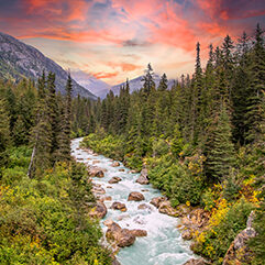 skagway scene by kim mabon